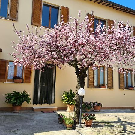 B&B Barbara Assisi Cannara Exterior photo