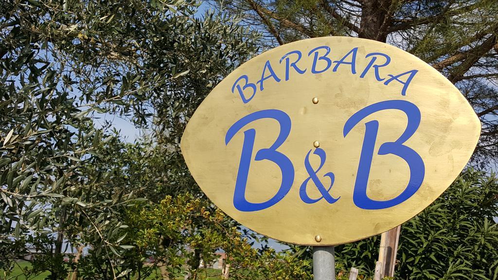 B&B Barbara Assisi Cannara Exterior photo